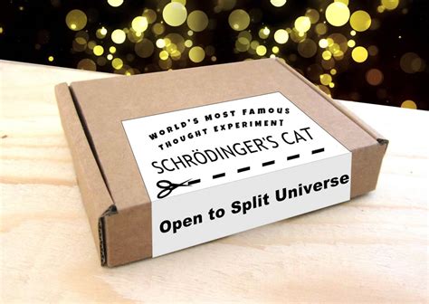 Schrodinger's Cat In A Box Thought Experiment | The Green Head