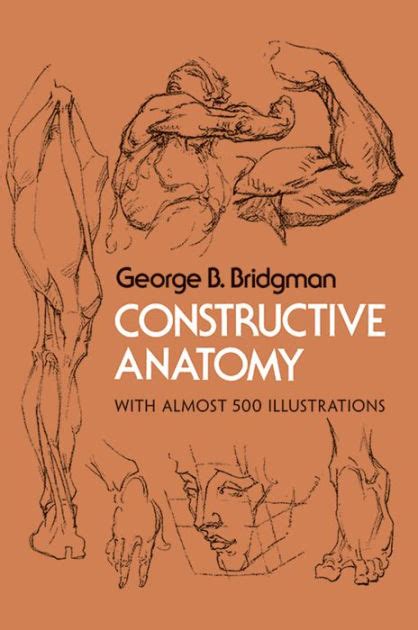 Constructive Anatomy By George B Bridgman Paperback Barnes Noble