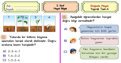 S N F Hayat Bilgisi Do Ada Hayat Yaprak Test Meb Ders