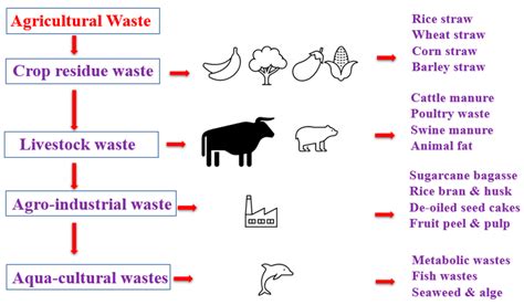 Biopolymer Based Composites From Agricultural Waste Biomass