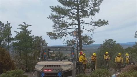 Tres Mil Hectáreas De Bosque Devastadas Por Incendio Forestal En Casas