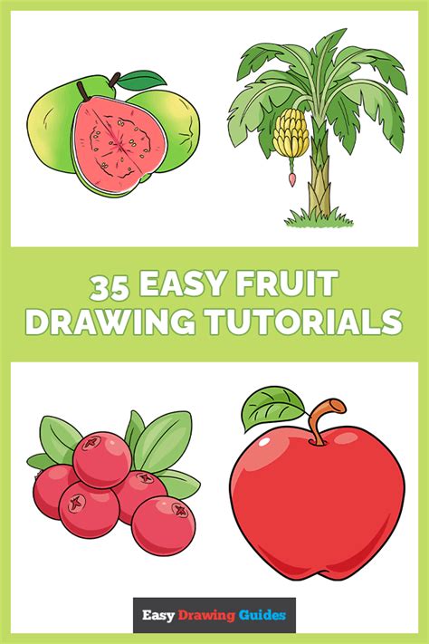 Easy Fruit Drawing Tutorials