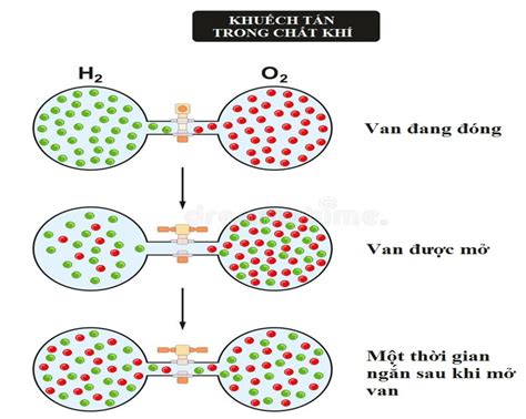 CHUẨN NHẤT Hiện tượng khuếch tán là gì Myphamthucuc vn Giáo dục