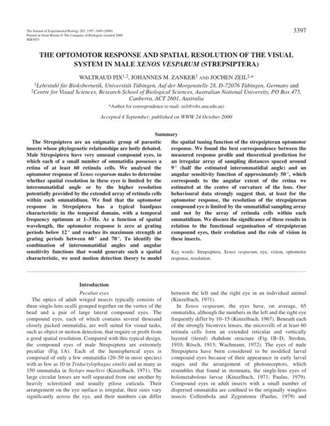 Pdf The Optomotor Response And Spatial Resolution Of The Visual