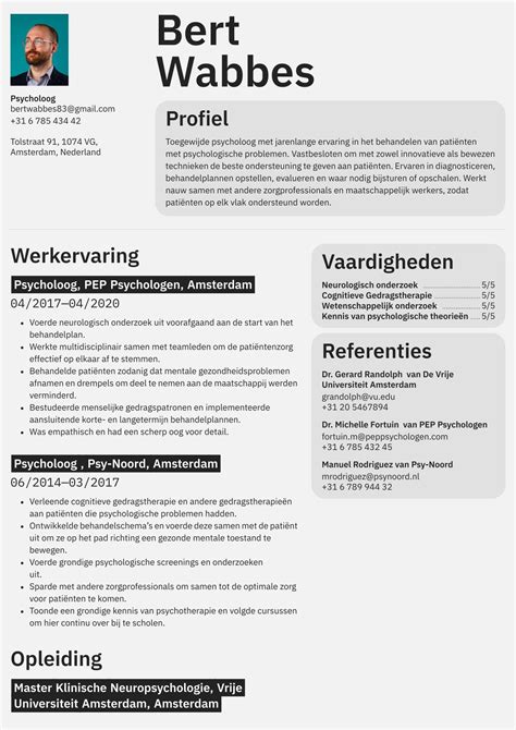 Professionele Cv Templates Gratis Maak Een Perfect Resume Cvster Nl