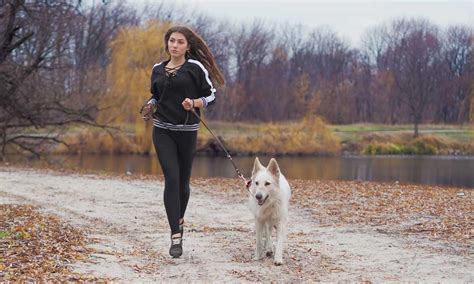 Mascotas Consejos Para Hacer Running Con Tu Perro Y No Rendirte Foto 1