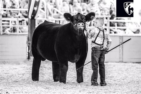 One Of The Most Powerful Show Steers Of 2017 Keegan Murphy Monopoly