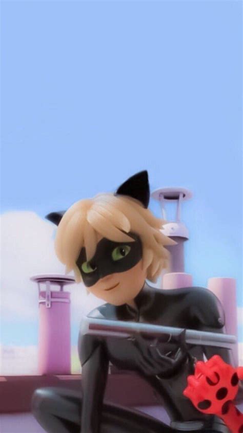 Miraculous Cat Noir Wallpaper Miraculous Ladybug Funny Miraculous Ladybug Wallpaper