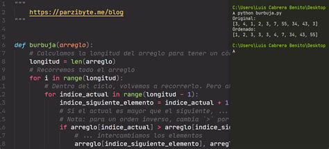 Python Ordenamiento De Burbuja Parzibyte S Blog