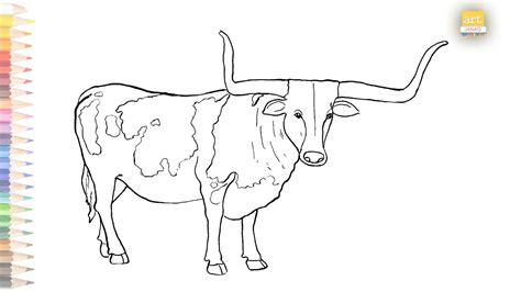 Longhorn Cow outline drawing 01 II How to draw A Longhorn Cow step by ...