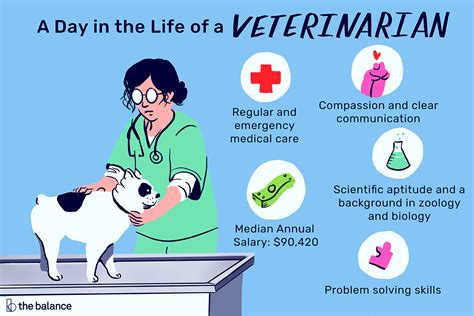 How To Become A Veterinarian Professor Ramos Blog