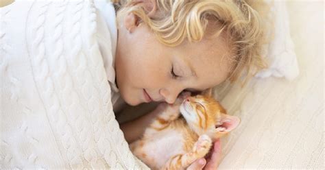 Why Do Cats Like To Sleep With Their Owners 11 Reasons