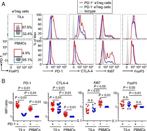 Pd Regulatory T Cells Amplified By Pd Blockade Promote