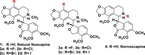 Imidazo B Thiazole Coupled Natural Noscapine Derivatives As