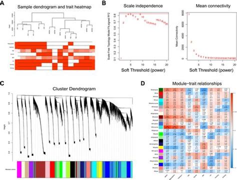 Full Article Identification Of Unique Transcriptomic Signatures And