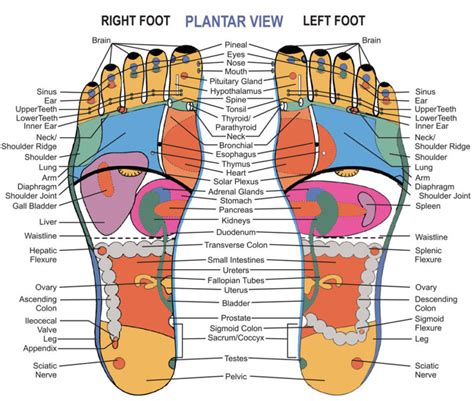 You Deserve A Great Foot Massage Hydro Massage Products