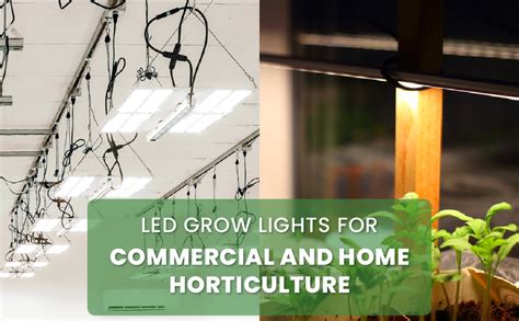 Amazon Horticulture Lighting Group HLG 100 V2 4000K 95W LED