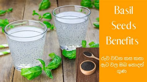 Basil Seeds Health Benefits In Sinhala With Dileebeauty 💕💕 Youtube