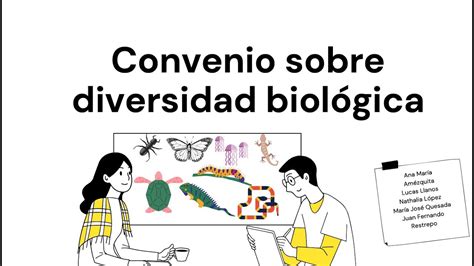 Convenio Sobre Diversidad Biol Gica Grupo Youtube