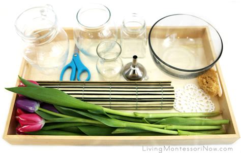 Montessori Flower Arranging With Many Practical Life Skills