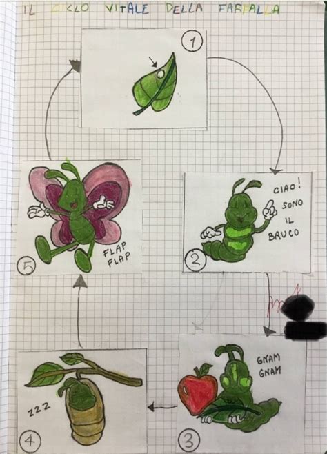 Il Ciclo Vitale Della Farfalla Blog Di Maestra Mile