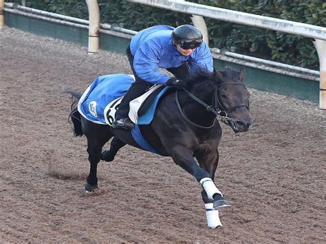 【小倉大賞典】初重賞制覇を狙うディープモンスターは1枠1番 今村聖奈騎手とコンビのセルバーグは5枠9番 枠順決定 2024年2月16日掲載