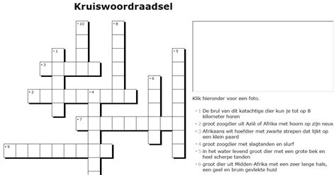 Kruiswoordraadsel Kruiswoordpuzzels Computermeester Be