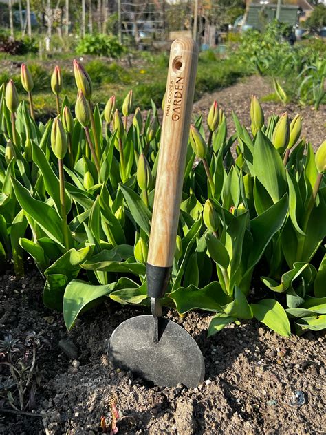 Signature Dutch Style Planting Trowel Dan Cooper Garden