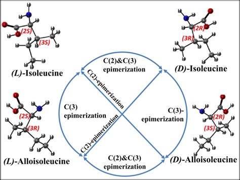 Stereoisomers of isoleucine and interrelation between them | Download Scientific Diagram