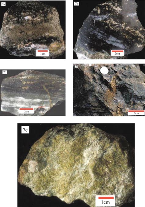 Veined And Altered Country Rock A Sulfide Vein Showing Brecciated