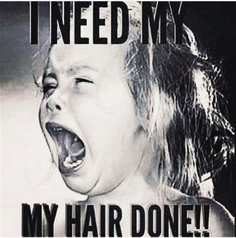 Pin On Hahahahaha Hair Quotes Funny Hair Quotes Hair Humor