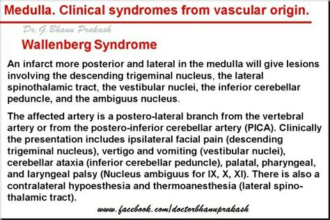 Wallenberg Syndrome | Spinothalamic tract, Vascular, Neurology