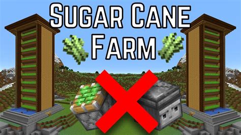 Minecraft Tutorial | Sugarcane Farm 1.18 & 1.19 + | Fully Automatic - YouTube