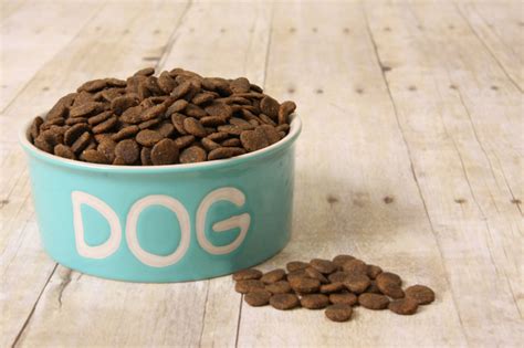 What Exactly is High Quality Dog Food? | Dog Training Nation