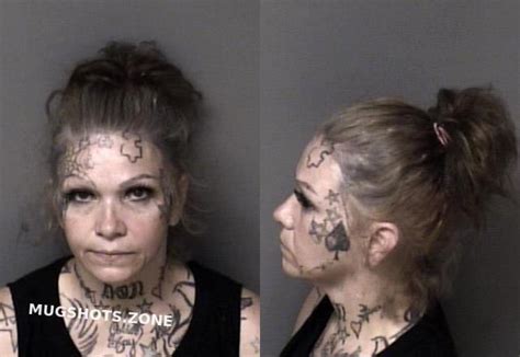 Mayer Pamela Dawn Gaston County Mugshots Zone