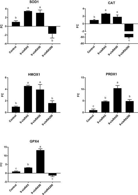 Relative Expression Of Antioxidant Related Genes Sod Cat Homx