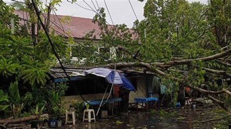 Cuaca Ekstrem Pohon Tumbang Dan Seng Rumah Tercabut Di Manado Sulawesi