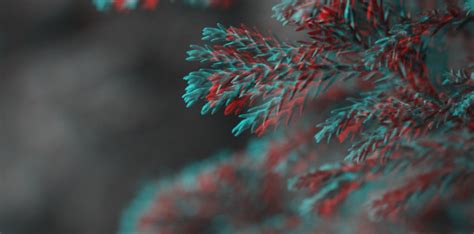 3D stereoscopic macro red/cyan anaglyph colorcode by MostEpic on DeviantArt