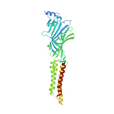 Rcsb Pdb Qn Cryo Em Structure Of Human Full Length Extrasynaptic