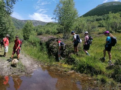 Turno Campamento Infantil Fempa Federaci N De Deportes De Monta A