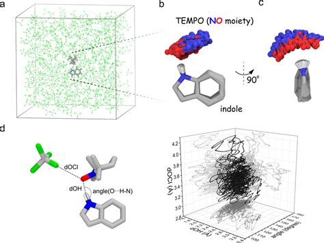 Qm Mm Md Simulation Captures The Structure Dynamics Of The H Bonded