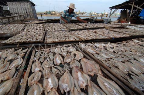 Produksi Ikan Turun Antara Foto