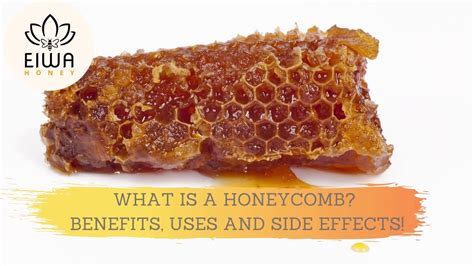 What is a honeycomb? Benefits, uses and side effects ! - Eiwa Honey ...