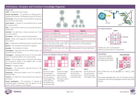 AQA Inheritance Variation And Evolution Knowledge Organiser C7141