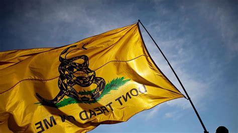 La Bandera De Gadsden Asociaci N Libertaria