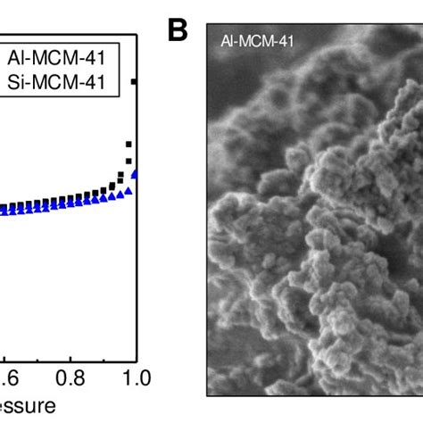 Textural Properties And Imaging Of Al Mcm And Si Mcm A Argon