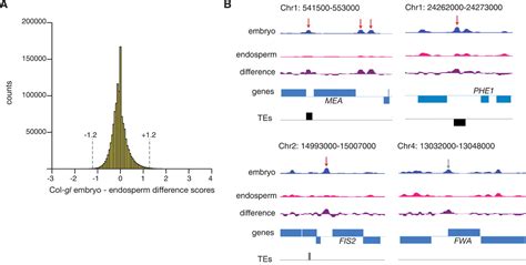 Extensive Demethylation Of Repetitive Elements During Seed Development