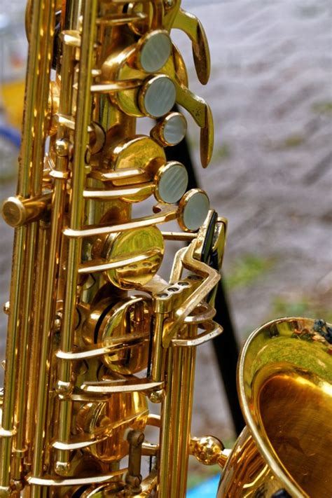 Free Images Music Analog Band Metal Yellow Musical Instrument Close Up Gold Tuba Wind