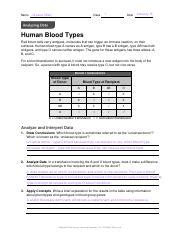 Understanding Human Blood Types And Transfusions Course Hero