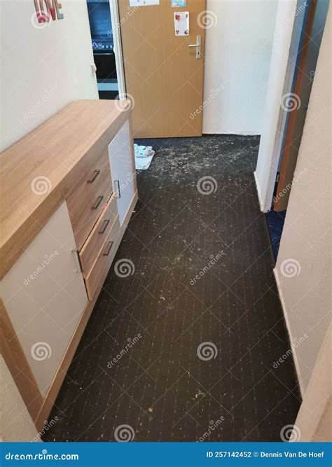 Clogged Sewage Drain Pipe Causing A Damage Stock Photo Image Of Home